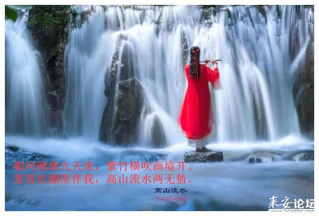 救援小孔雀